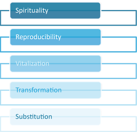 5 technology maturity principles